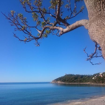 アルバタクスUn Po Di Relax A Pochi Passi Dal Mare!アパートメント エクステリア 写真