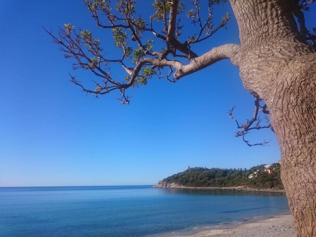 アルバタクスUn Po Di Relax A Pochi Passi Dal Mare!アパートメント エクステリア 写真